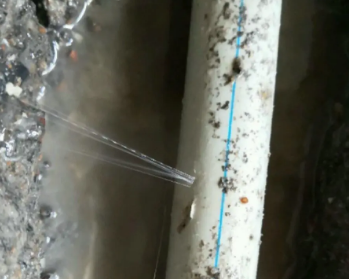 罗湖卫生间测漏水多少钱
