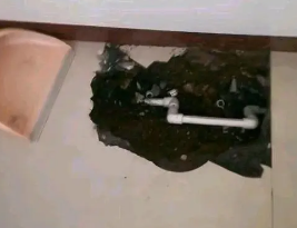 罗湖卫生间测漏水多少钱
